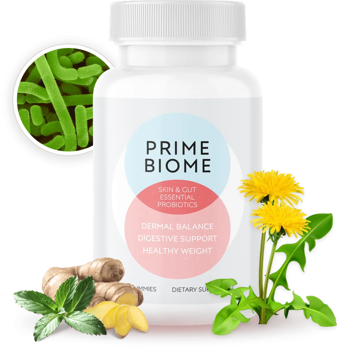 PrimeBiome - bottle - one - image